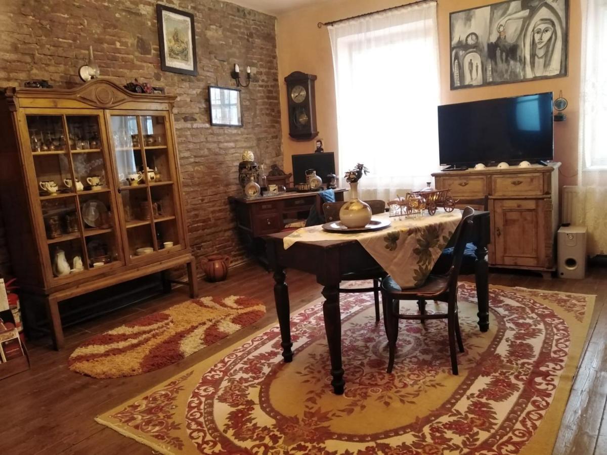 Pensiunea Lelila Inn Σιγκισοάρα Εξωτερικό φωτογραφία