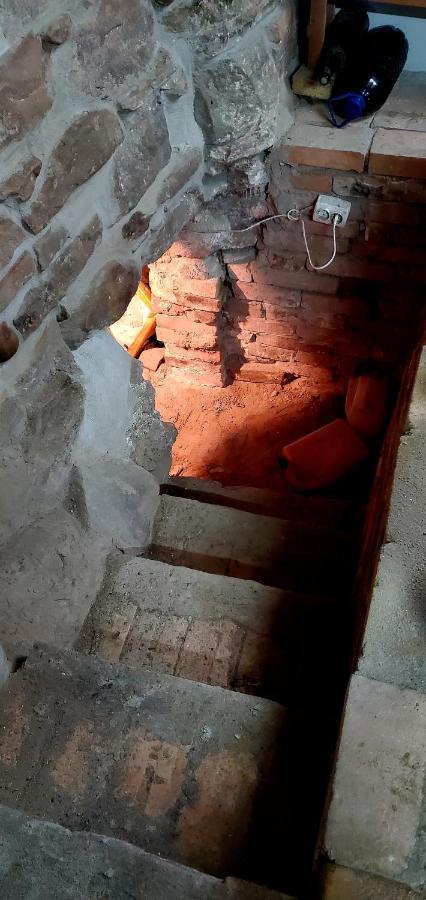 Pensiunea Lelila Inn Σιγκισοάρα Εξωτερικό φωτογραφία